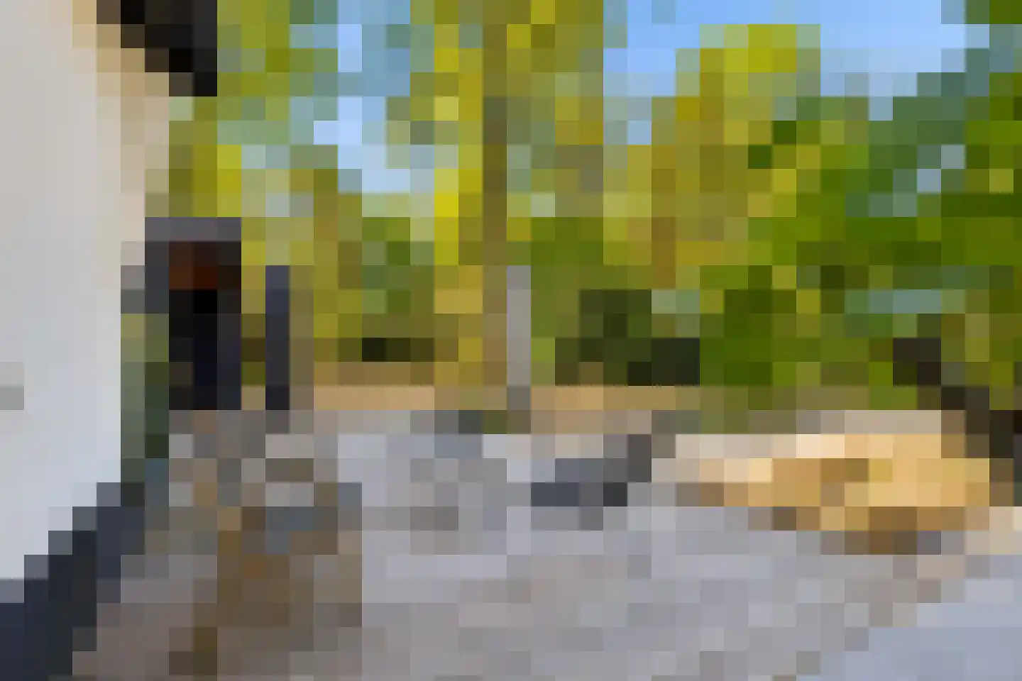 Millsebaan 109 Uden thumbnail 46