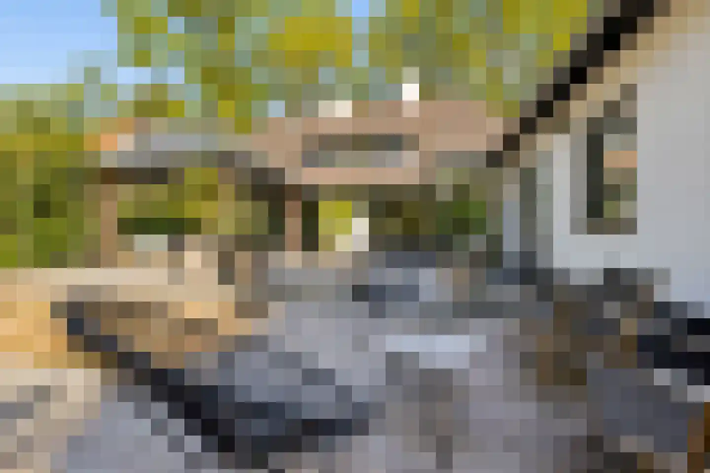 Millsebaan 109 Uden thumbnail 48