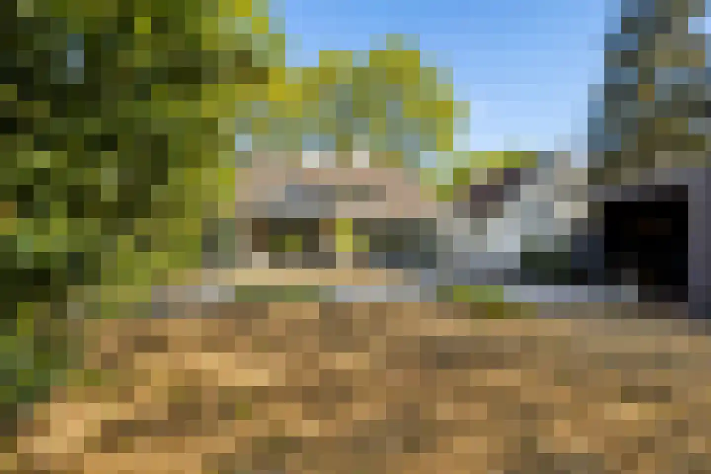 Millsebaan 109 Uden thumbnail 50