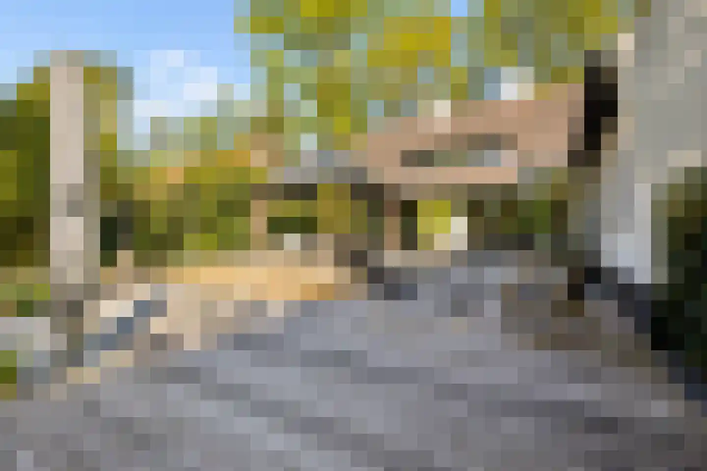 Millsebaan 109 Uden thumbnail 51