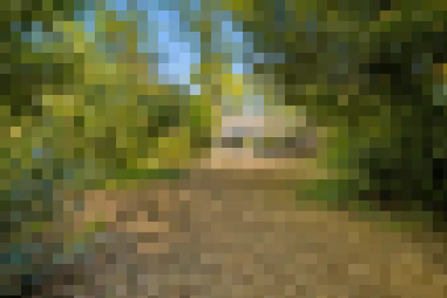 Millsebaan 109 Uden thumbnail 52