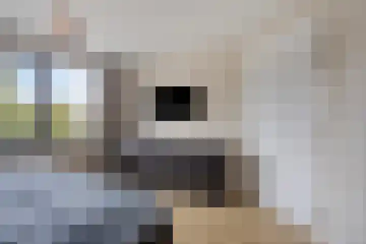 Millsebaan 32 Uden thumbnail 27