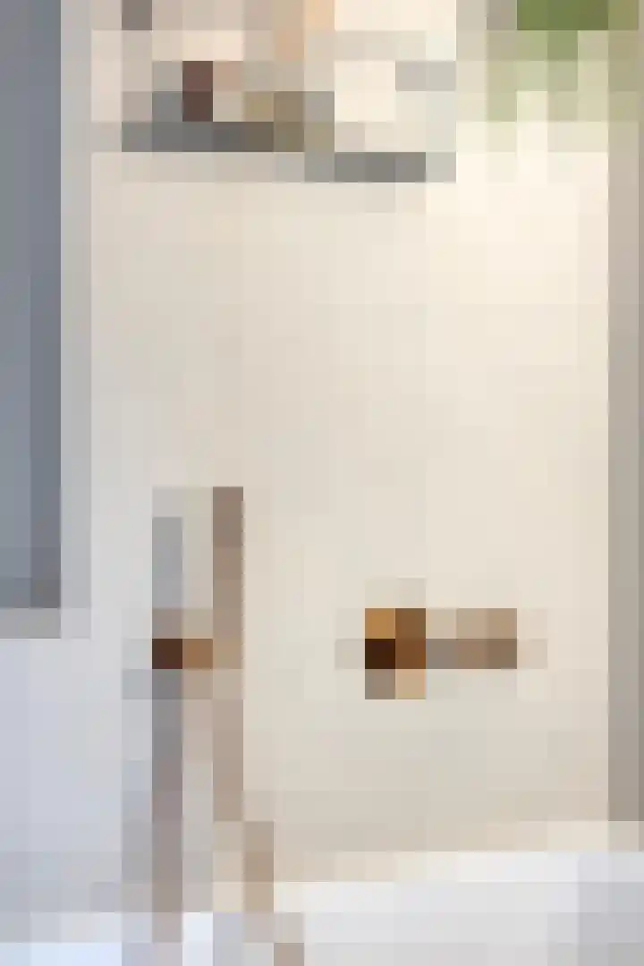 Millsebaan 32 Uden thumbnail 33