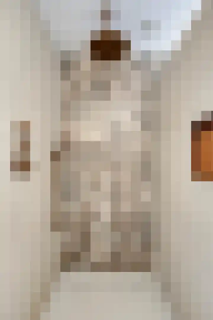 Millsebaan 32 Uden thumbnail 34
