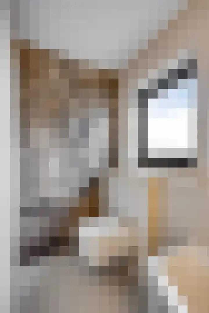 Millsebaan 32 Uden thumbnail 36