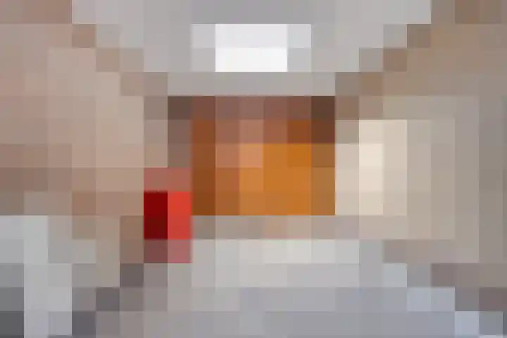 Millsebaan 32 Uden thumbnail 43