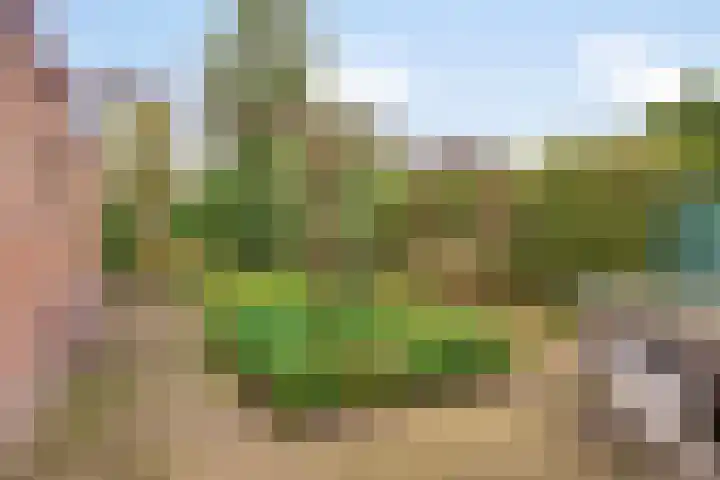 Millsebaan 32 Uden thumbnail 45
