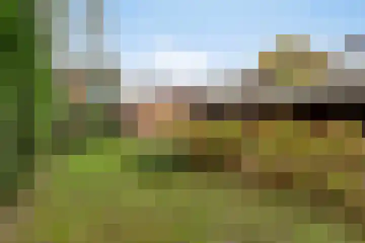 Millsebaan 32 Uden thumbnail 48