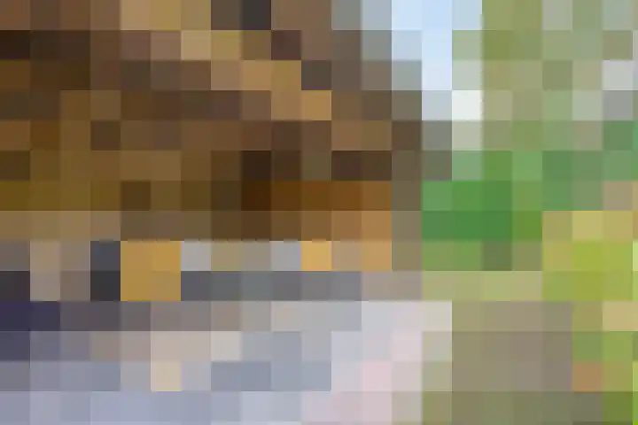 Millsebaan 32 Uden thumbnail 49