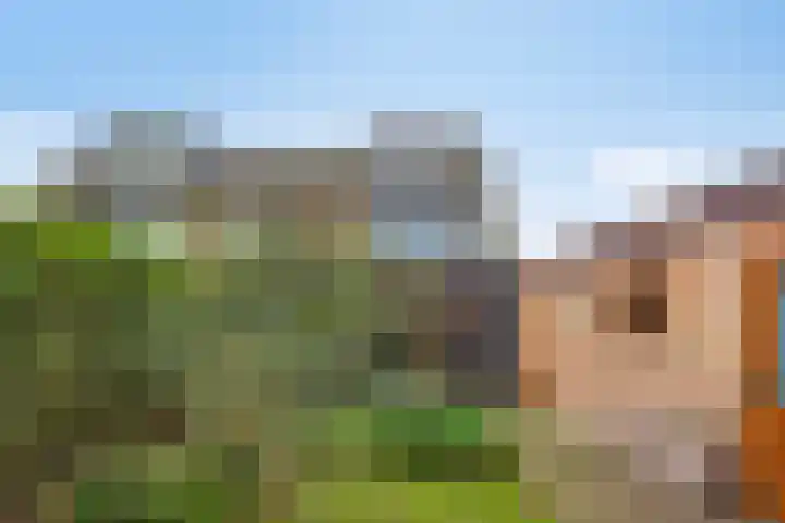 Millsebaan 32 Uden thumbnail 50