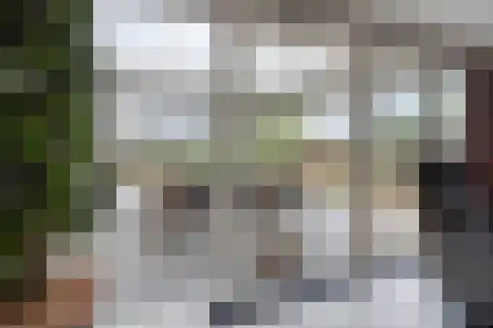 Millsebaan 65 Uden thumbnail 11