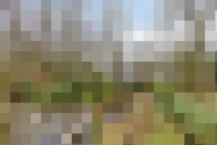 Millsebaan 65 Uden thumbnail 41