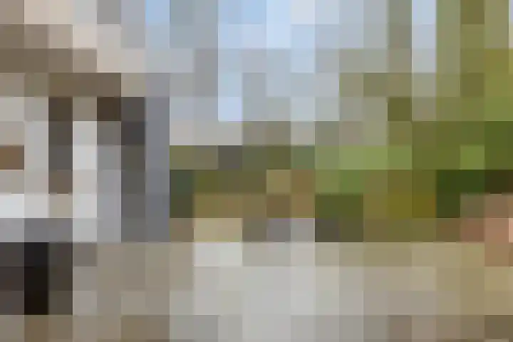 Millsebaan 65 Uden thumbnail 42