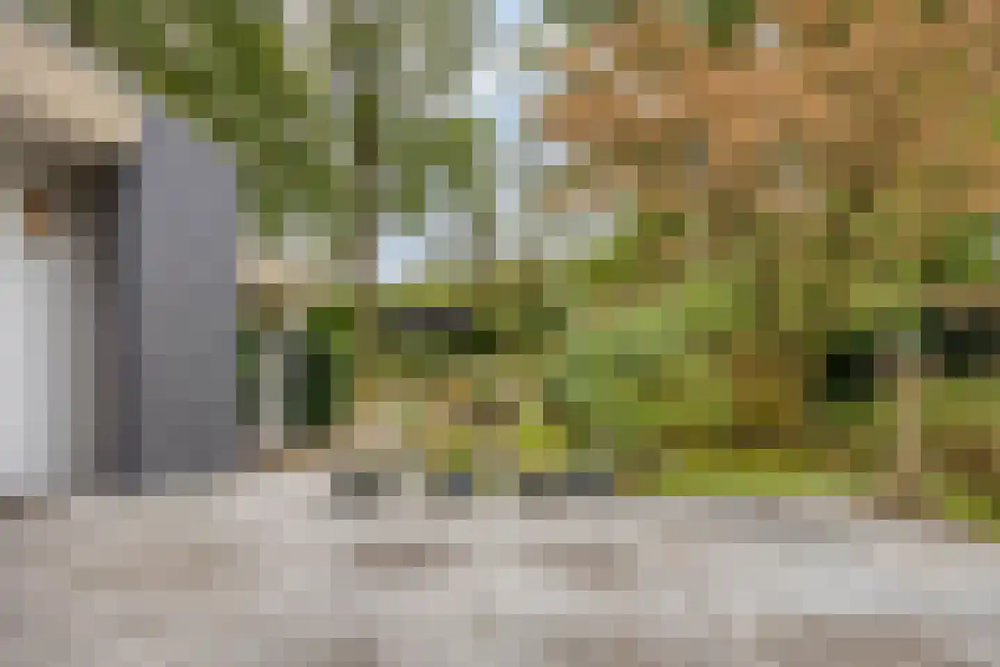 Millsebaan 65 Uden thumbnail 43