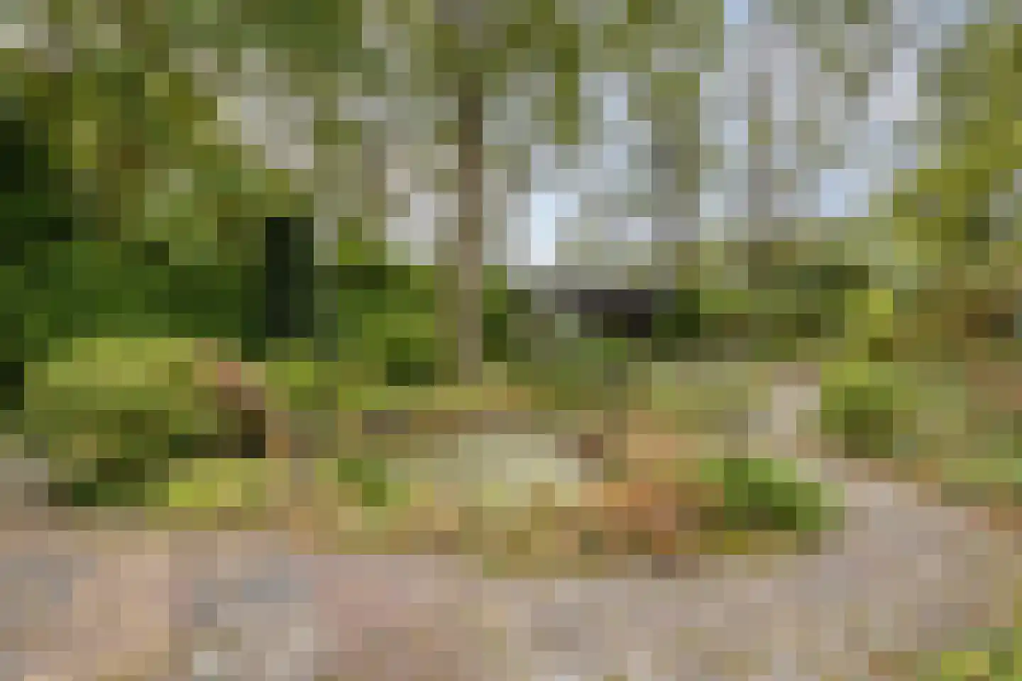 Millsebaan 65 Uden thumbnail 45
