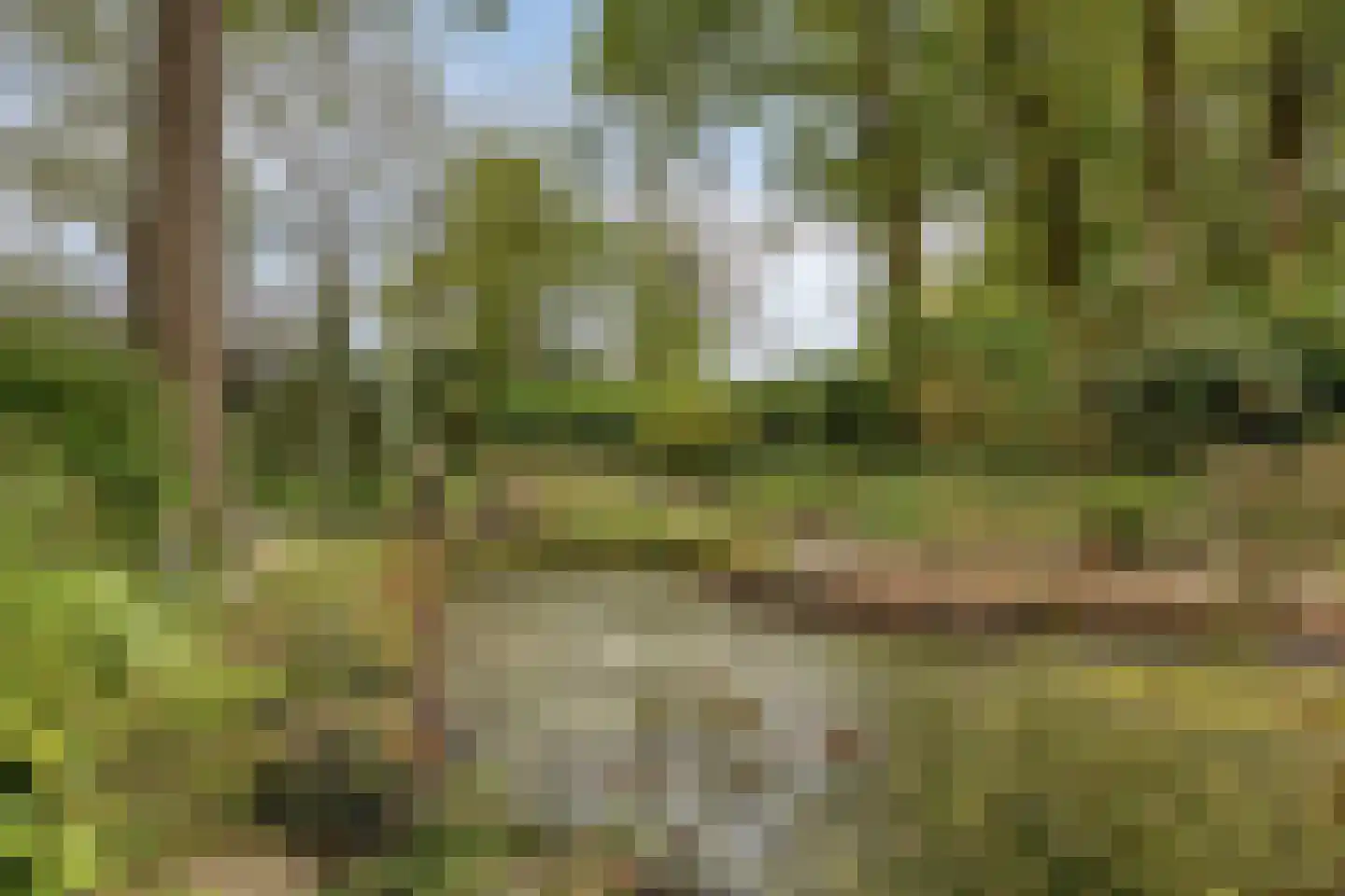 Millsebaan 65 Uden thumbnail 46