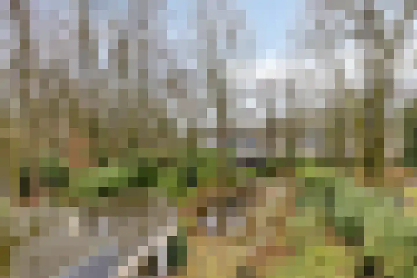 Millsebaan 65 Uden thumbnail 46