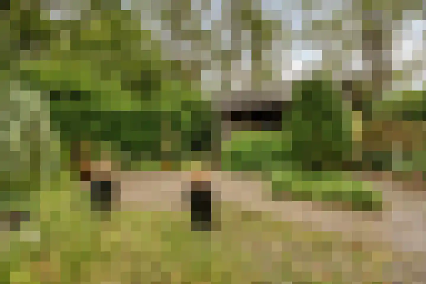 Millsebaan 65 Uden thumbnail 47