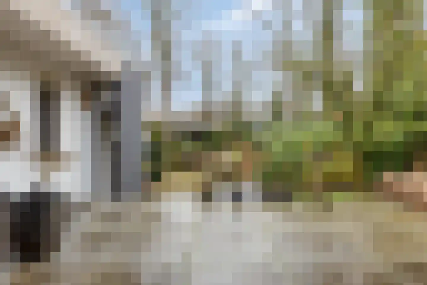 Millsebaan 65 Uden thumbnail 47