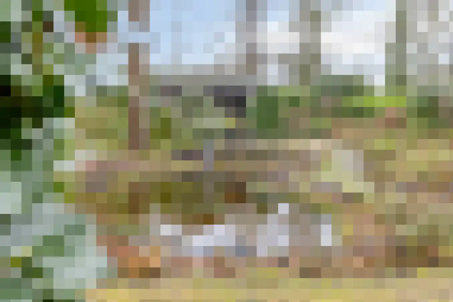 Millsebaan 65 Uden thumbnail 48