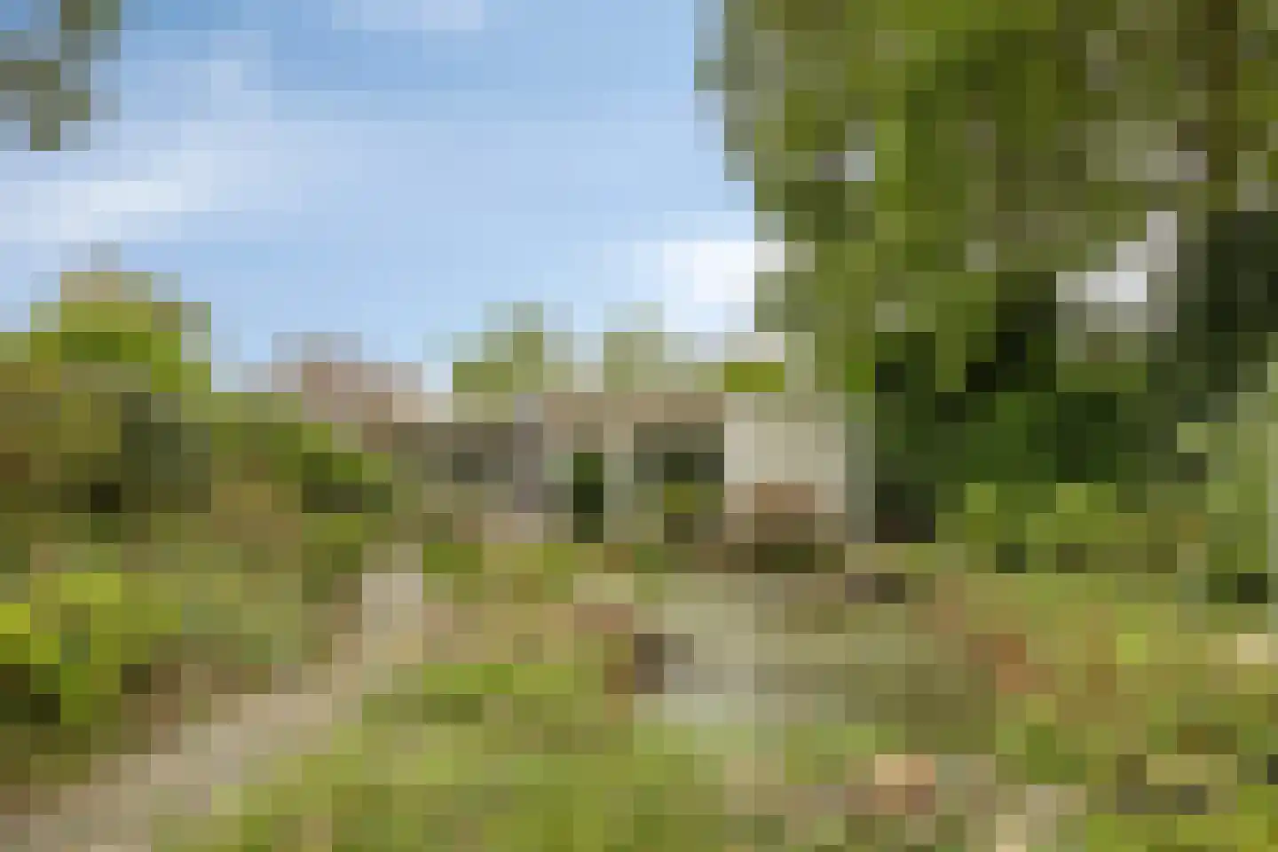 Millsebaan 65 Uden thumbnail 48