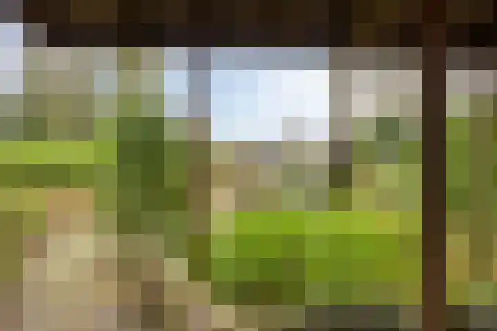 Millsebaan 65 Uden thumbnail 49