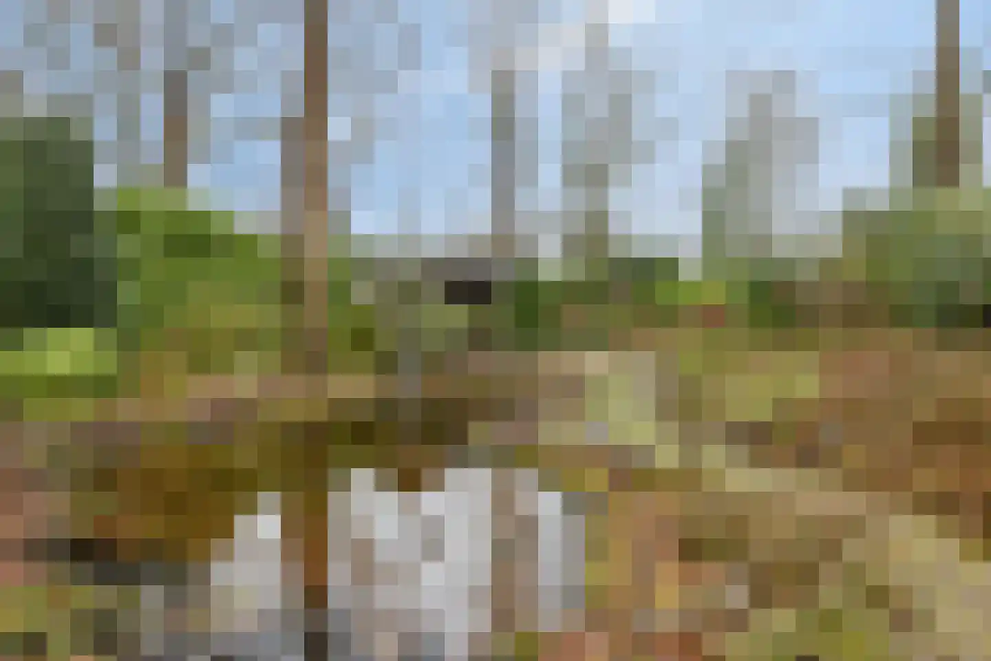 Millsebaan 65 Uden thumbnail 49
