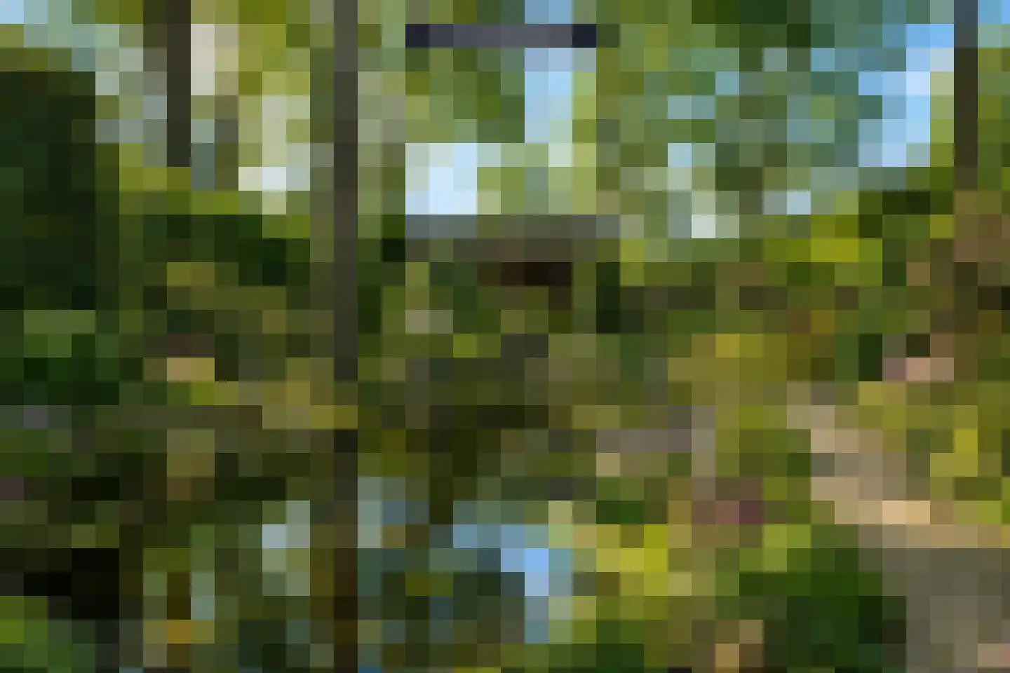 Millsebaan 65 Uden thumbnail 50