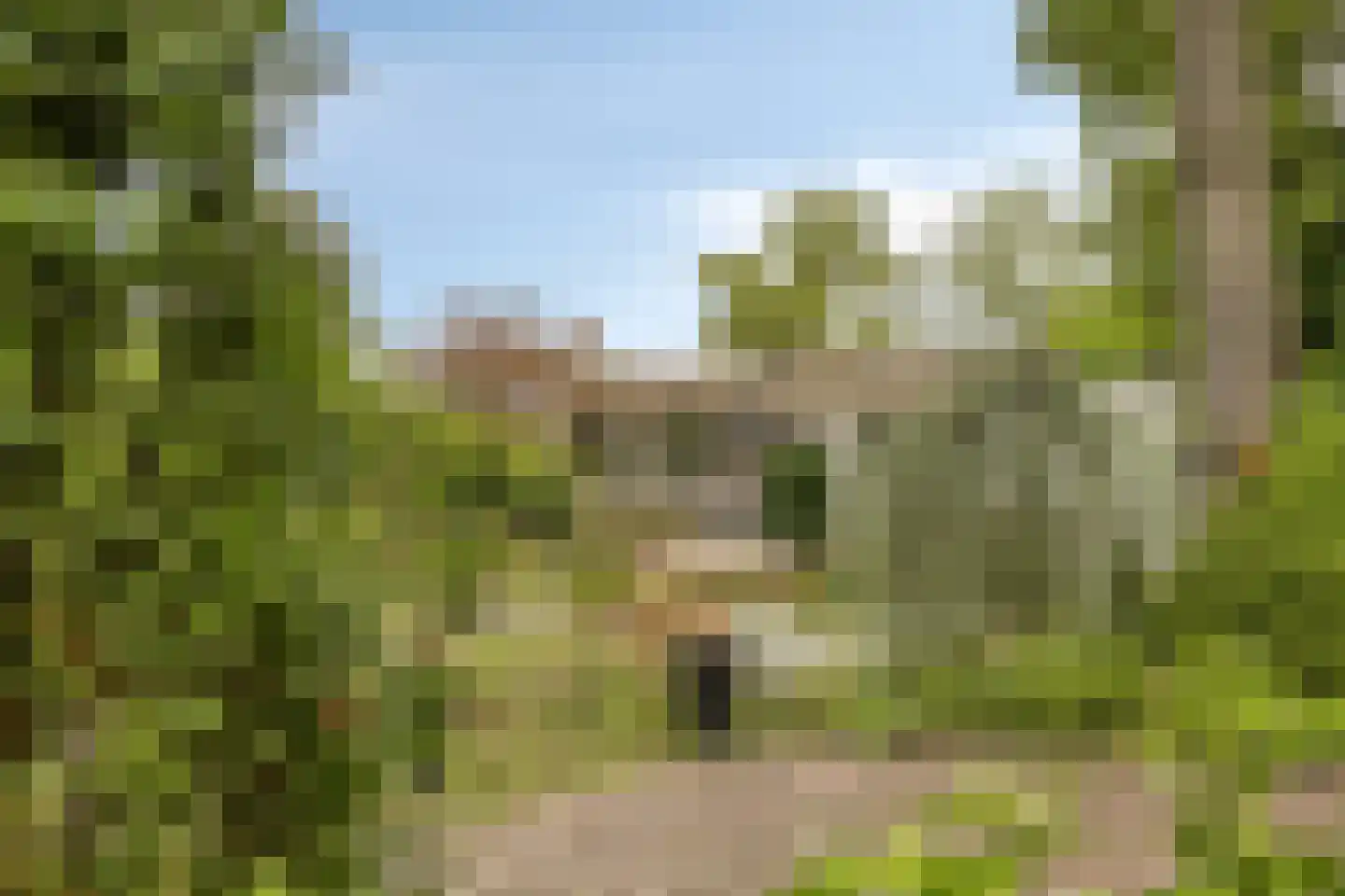Millsebaan 65 Uden thumbnail 50