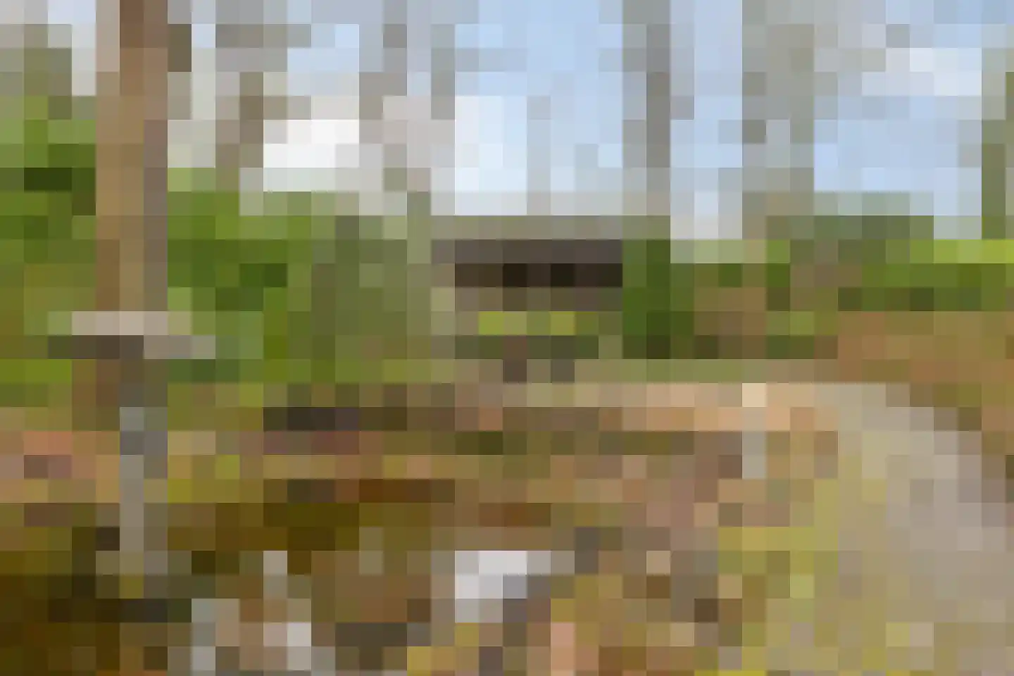 Millsebaan 65 Uden thumbnail 51