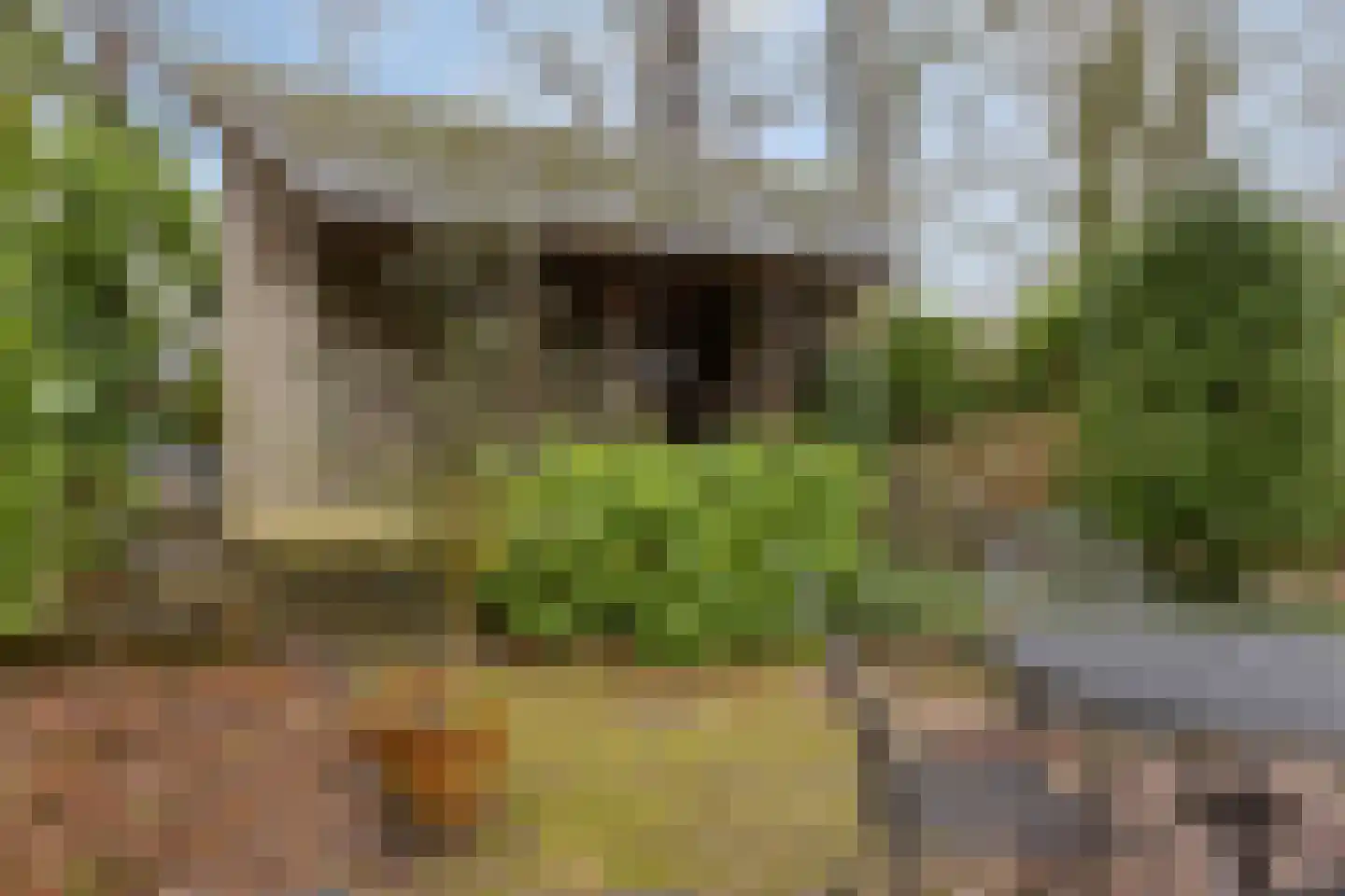 Millsebaan 65 Uden thumbnail 53