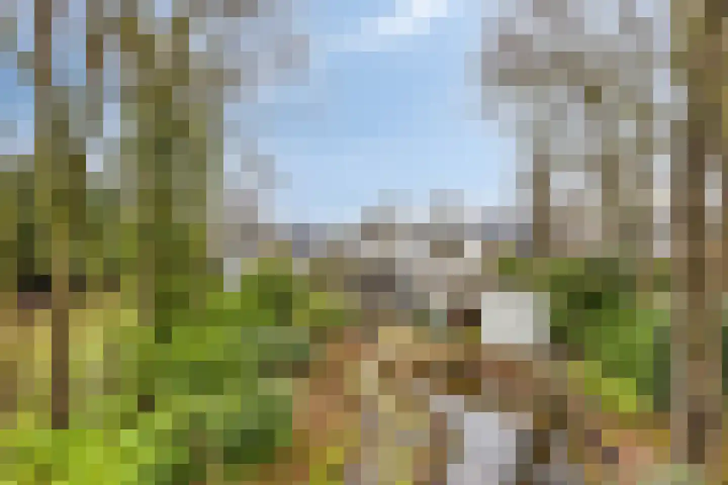 Millsebaan 65 Uden thumbnail 56