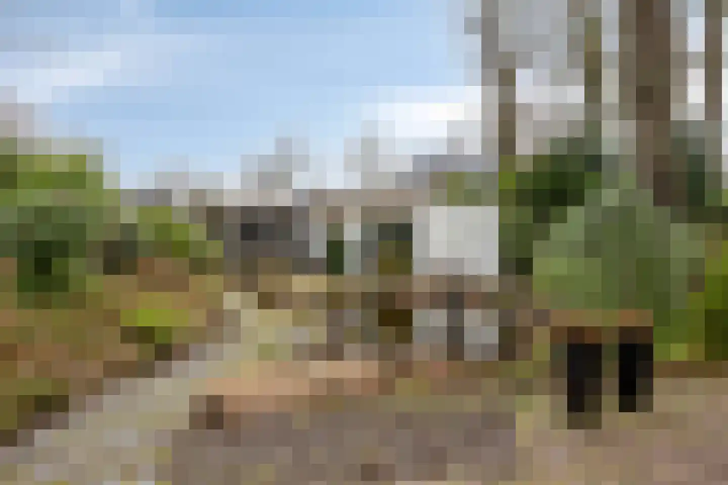 Millsebaan 65 Uden thumbnail 57
