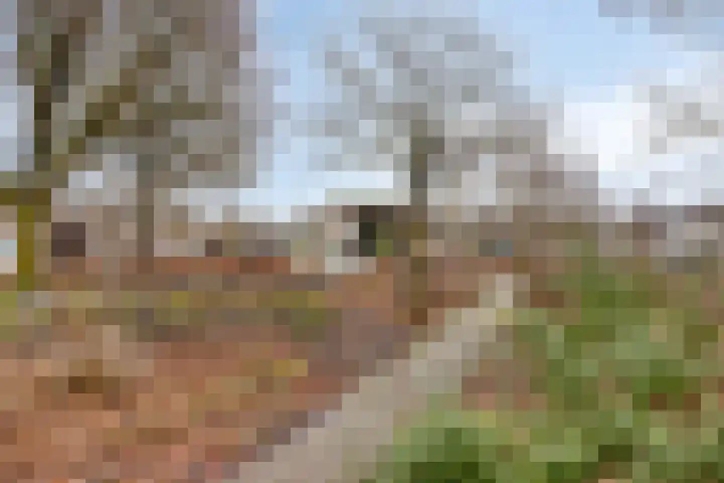 Millsebaan 65 Uden thumbnail 62