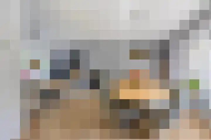 Millsebaan 71 Uden thumbnail 10