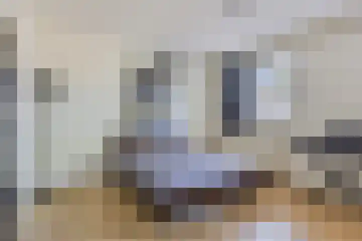 Millsebaan 71 Uden thumbnail 22