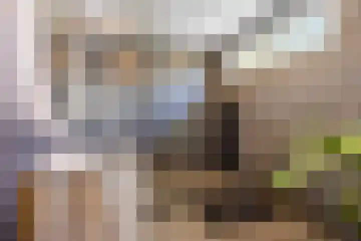 Millsebaan 71 Uden thumbnail 24