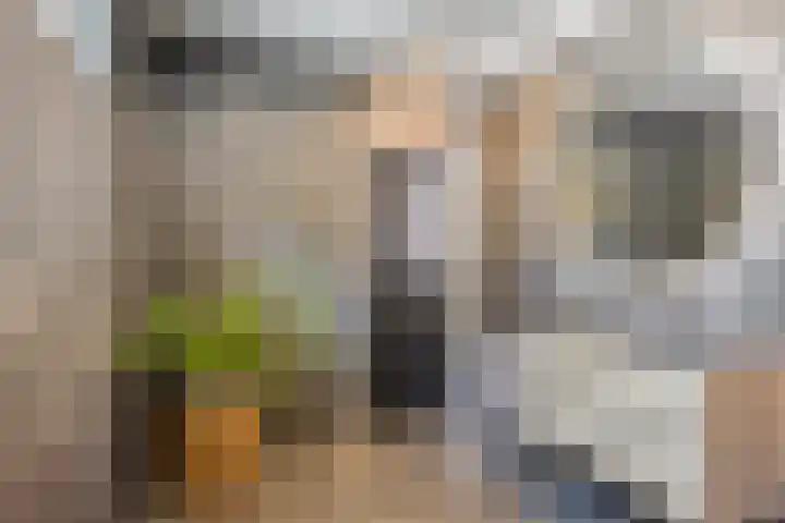 Millsebaan 71 Uden thumbnail 25