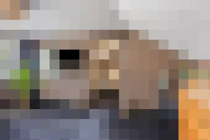 Millsebaan 71 Uden thumbnail 32