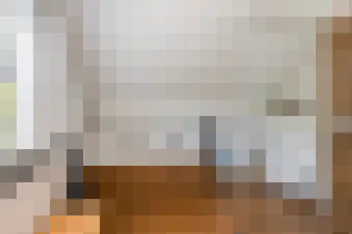 Millsebaan 71 Uden thumbnail 35