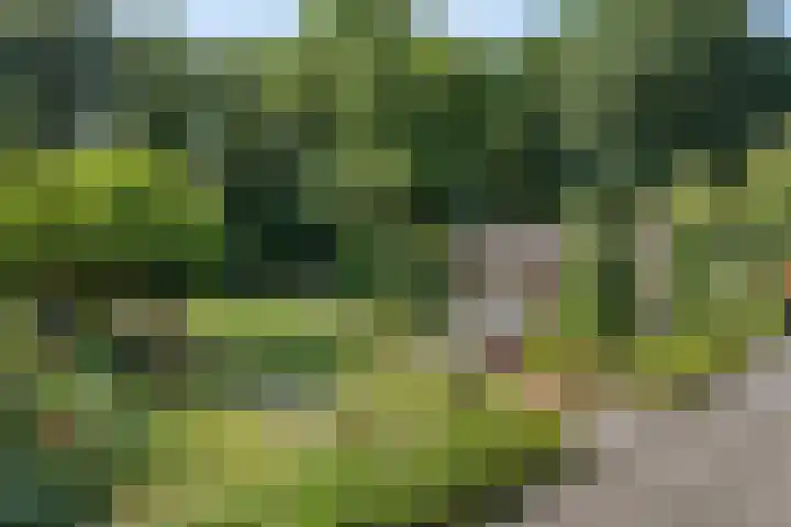 Millsebaan 71 Uden thumbnail 4