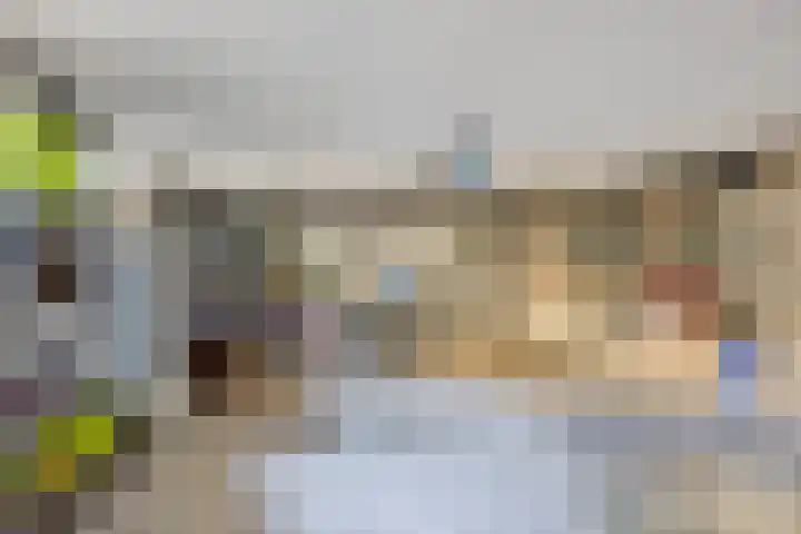 Millsebaan 71 Uden thumbnail 47