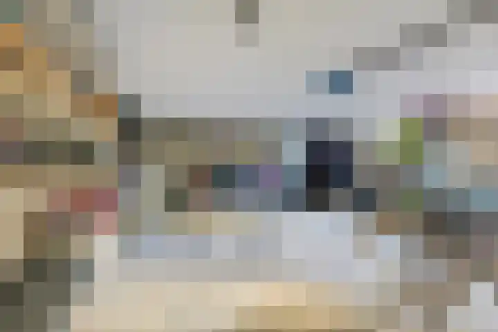 Millsebaan 71 Uden thumbnail 48
