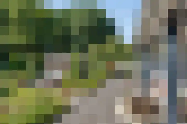 Millsebaan 71 Uden thumbnail 49
