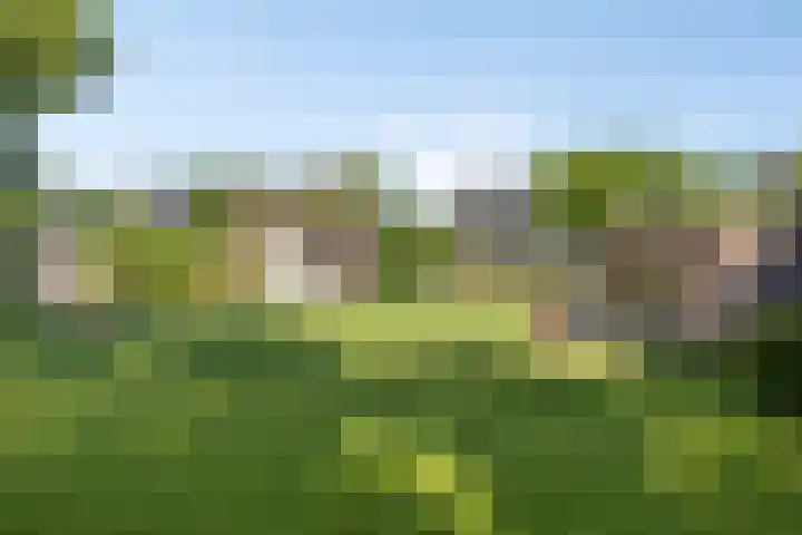 Millsebaan 71 Uden thumbnail 51