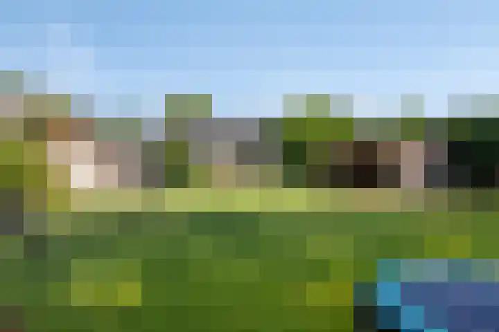 Millsebaan 71 Uden thumbnail 52