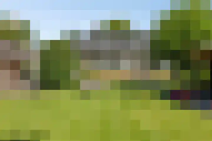 Millsebaan 71 Uden thumbnail 53