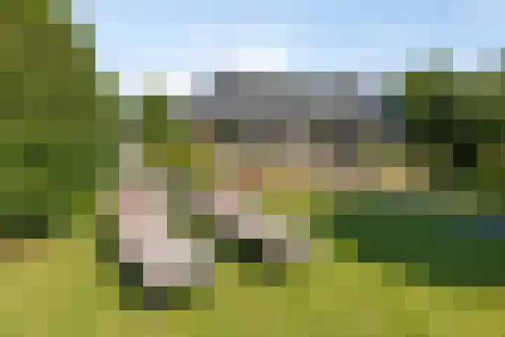 Millsebaan 71 Uden thumbnail 54