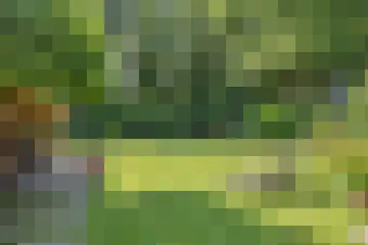 Millsebaan 71 Uden thumbnail 55