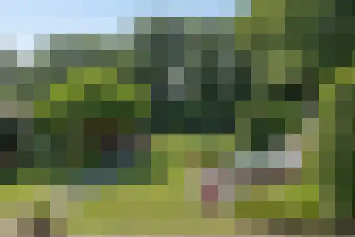 Millsebaan 71 Uden thumbnail 59